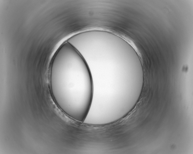 X0000093101148200710241216