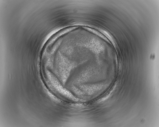 X0000093101149200710241216