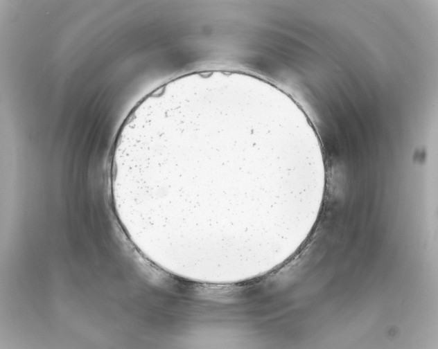 X0000093101150200710241216