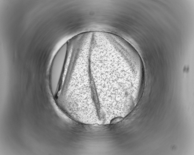 X0000093101152200710241216