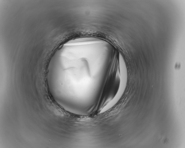X0000093101153200710241215