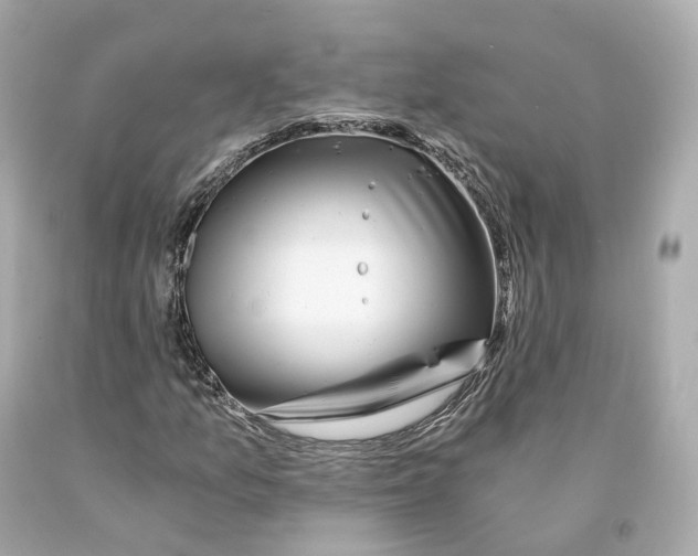 X0000093101157200710241215