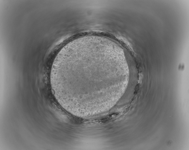 X0000093101159200710241215