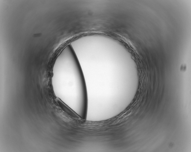 X0000093101160200710241215