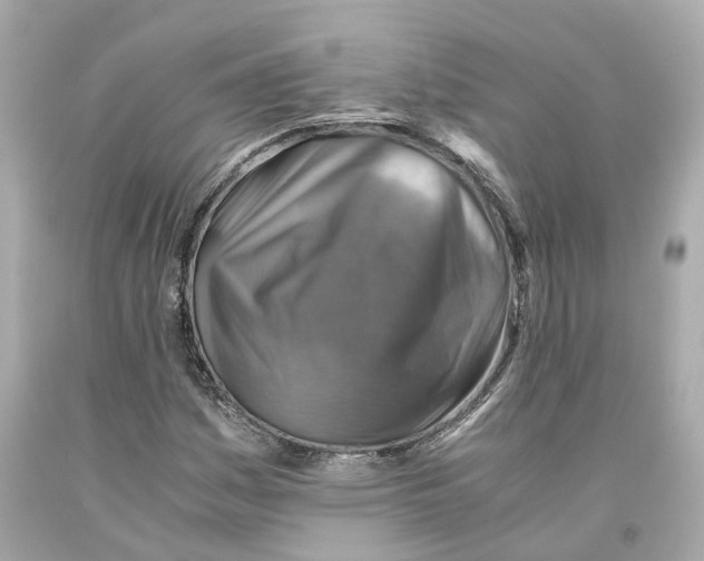 X0000093101161200710241215