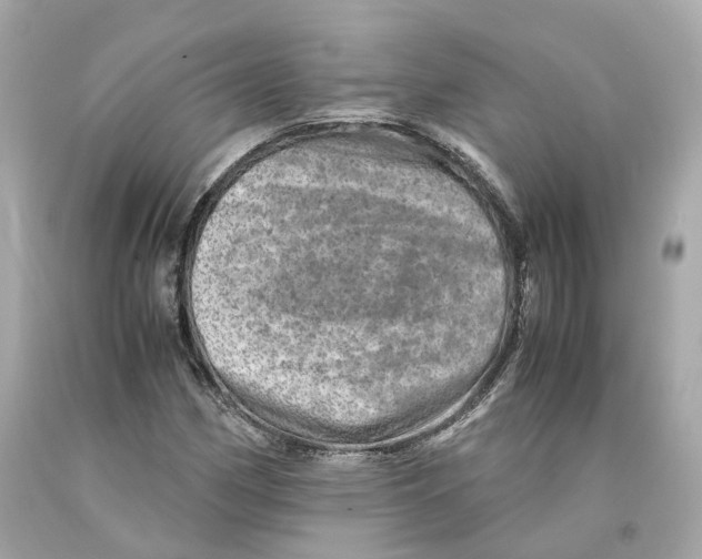 X0000093101162200710241215