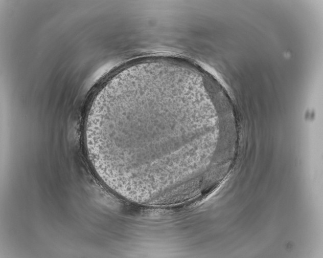 X0000093101163200710241215