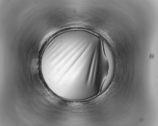 X0000093101164200710241215