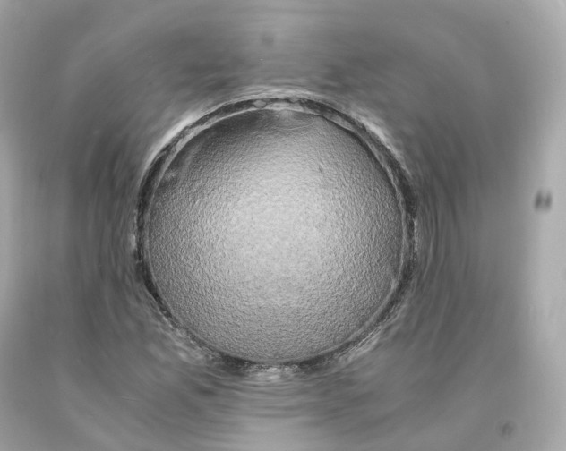 X0000093101165200710241215