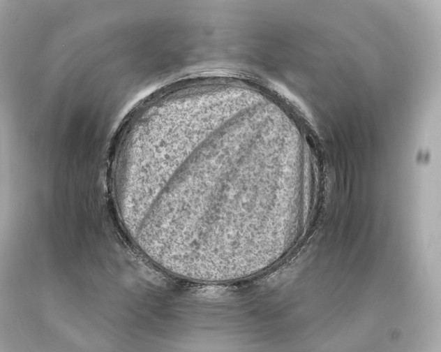 X0000093101166200710241215