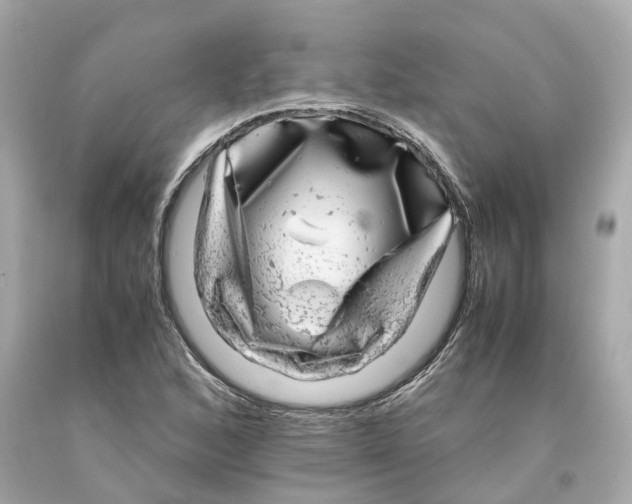 X0000093101168200710241215
