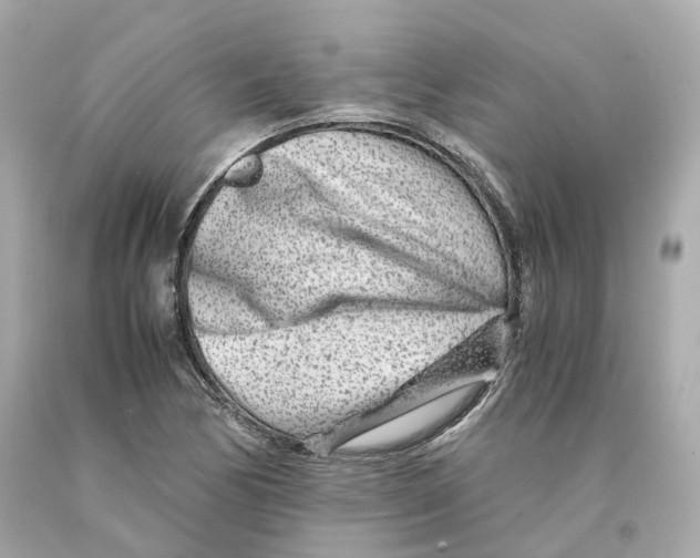 X0000093101170200710241215