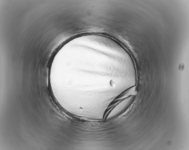 X0000093101171200710241215
