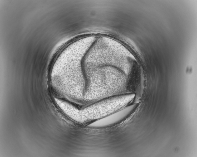 X0000093101172200710241215
