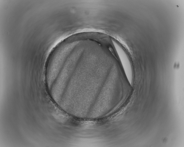 X0000093101173200710241215