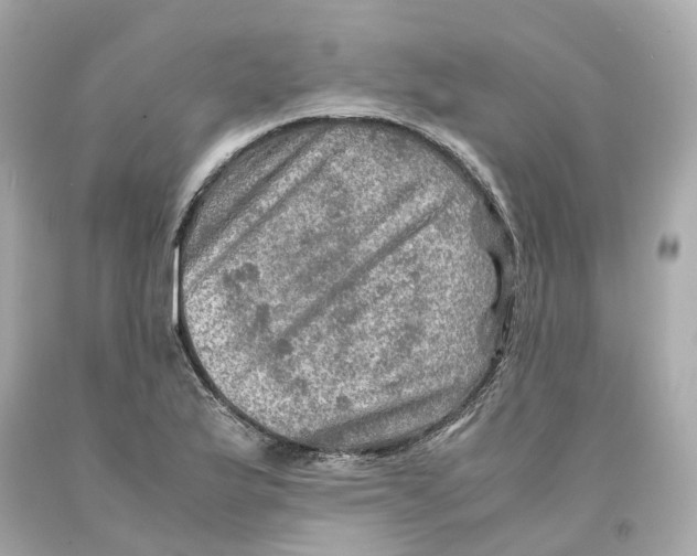 X0000093101175200710241215