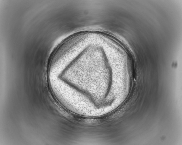 X0000093101176200710241215