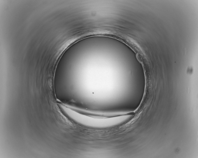 X0000093101177200710241215