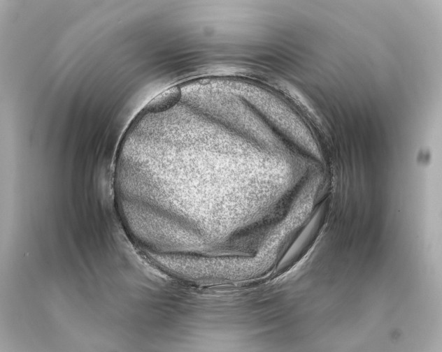 X0000093101178200710241215