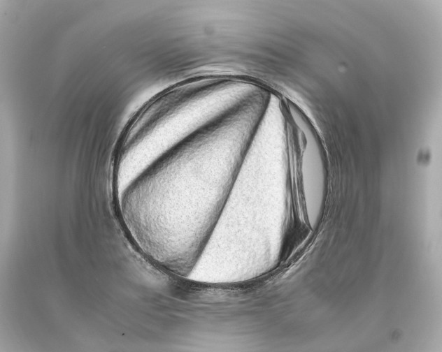 X0000093101179200710241215