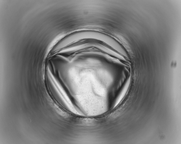 X0000093101180200710241215