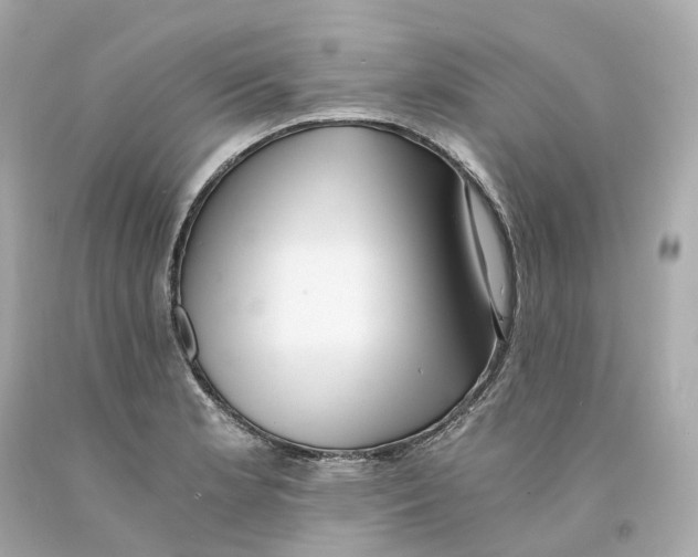 X0000093101181200710241215