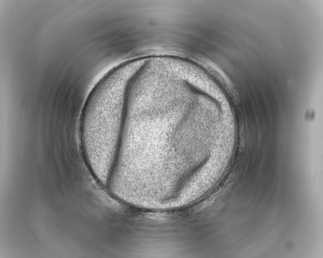X0000093101182200710241215