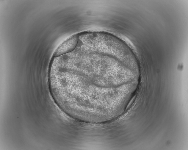 X0000093101183200710241215