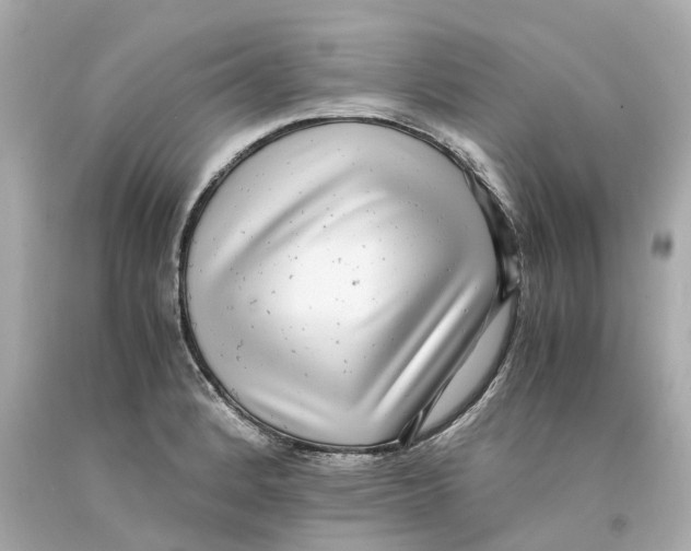 X0000093101184200710241215