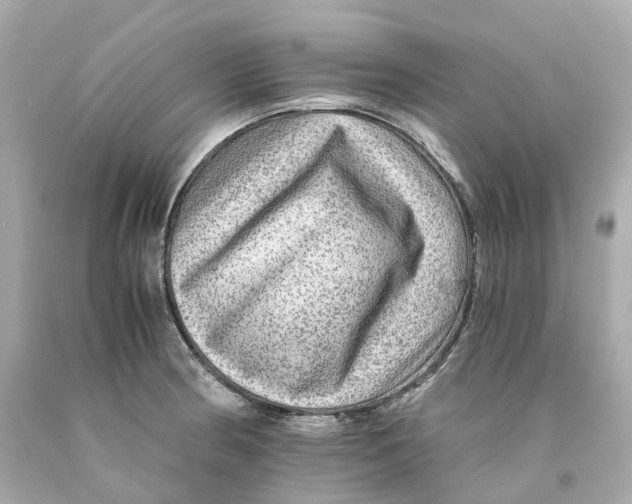 X0000093101186200710241215