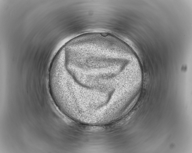 X0000093101187200710241215