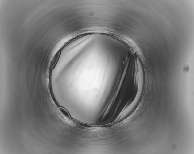 X0000093101188200710241215