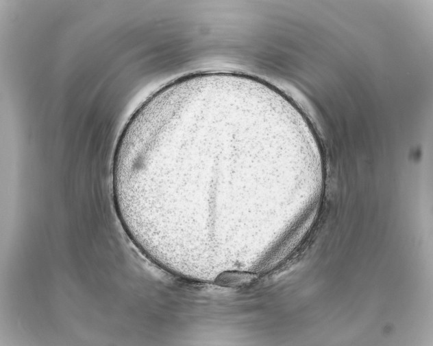 X0000093101191200710241215