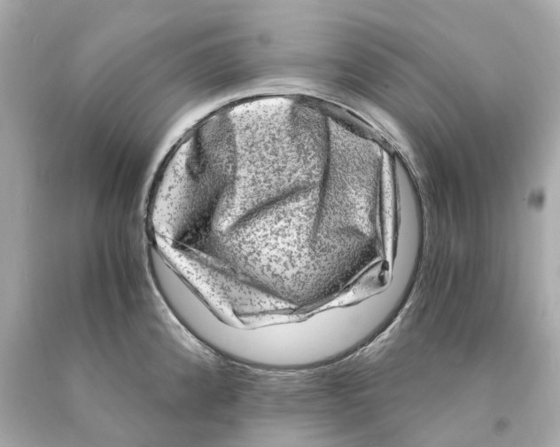 X0000093101192200710241215