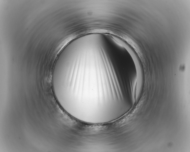 X0000093101193200710241215