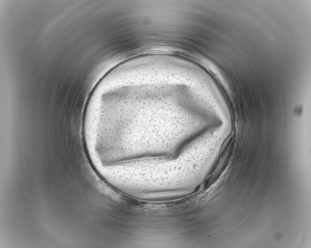 X0000093101194200710241215
