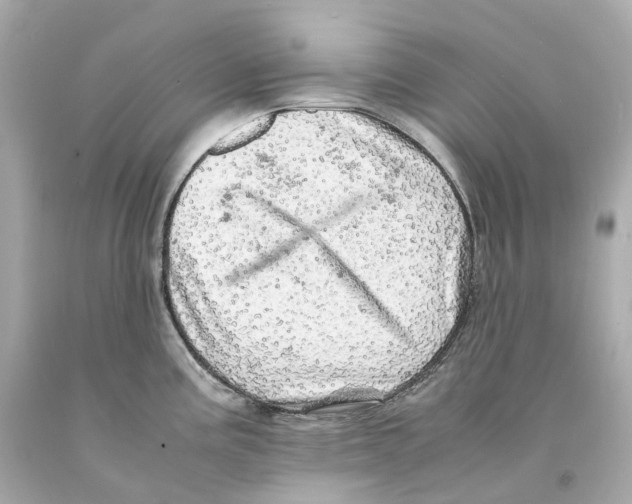 X0000093101195200710241215