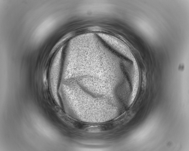 X0000093101198200710241215