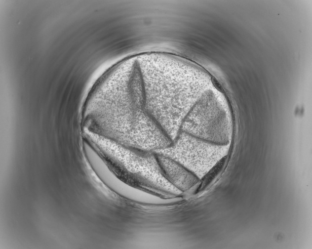 X0000093101200200710241215