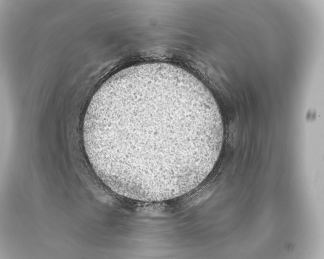 X0000093101201200710241214