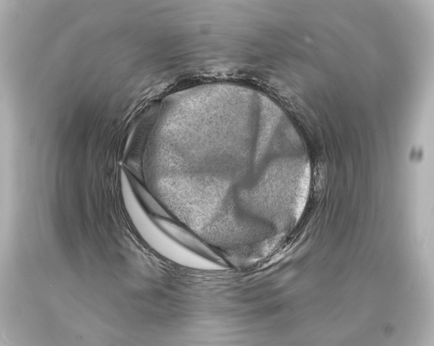 X0000093101202200710241214