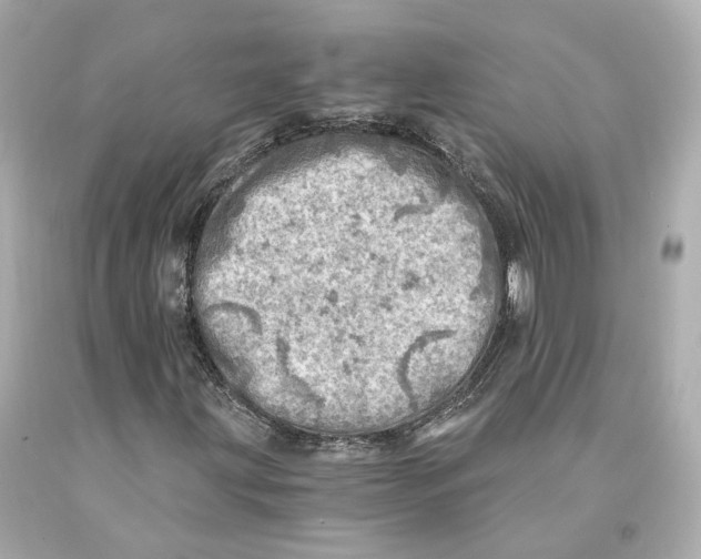 X0000093101203200710241214