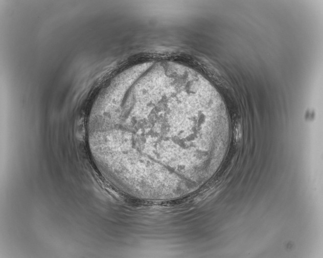 X0000093101204200710241214