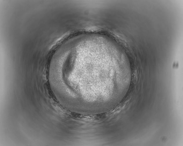 X0000093101205200710241214
