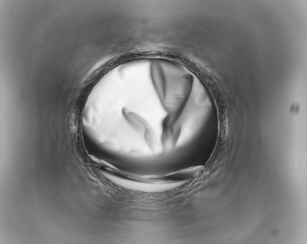 X0000093101206200710241214
