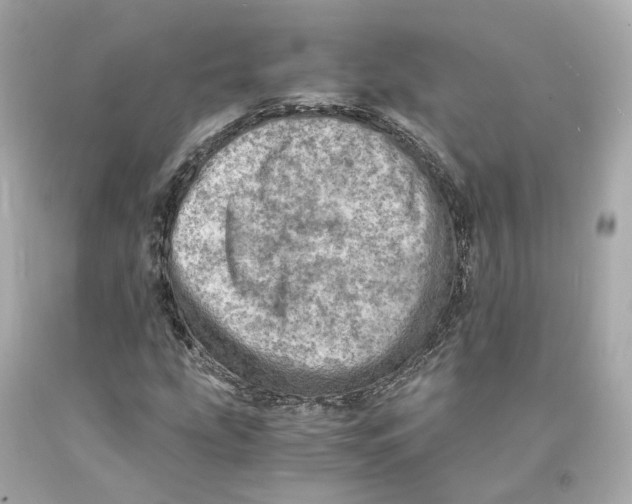 X0000093101207200710241214