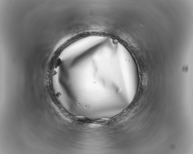 X0000093101208200710241214