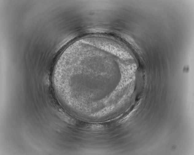 X0000093101209200710241214