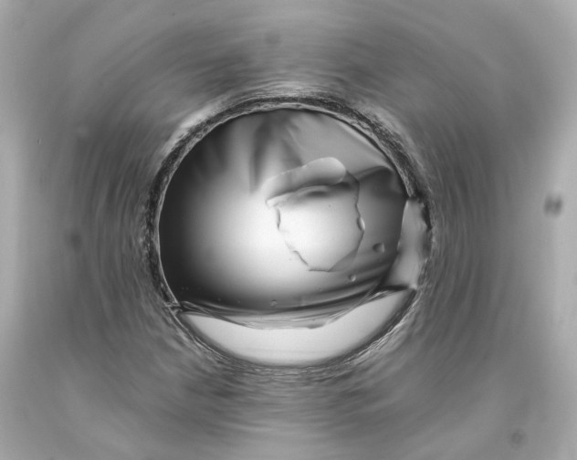 X0000093101210200710241214