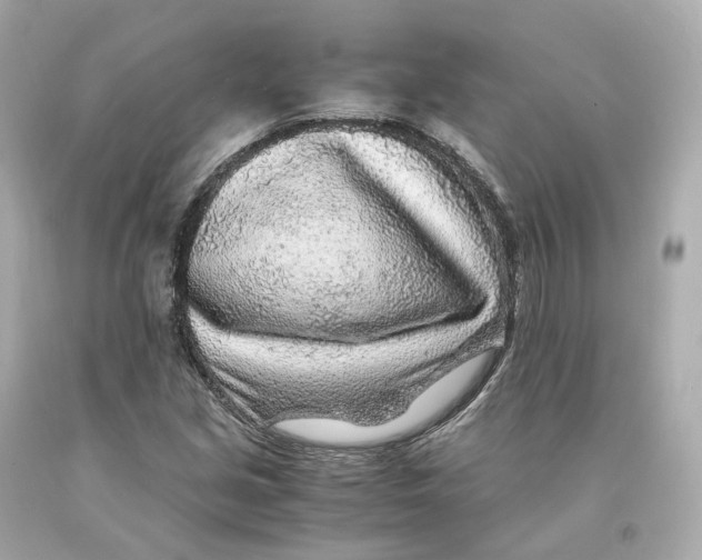 X0000093101213200710241214